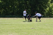 OTFL Gallery Image